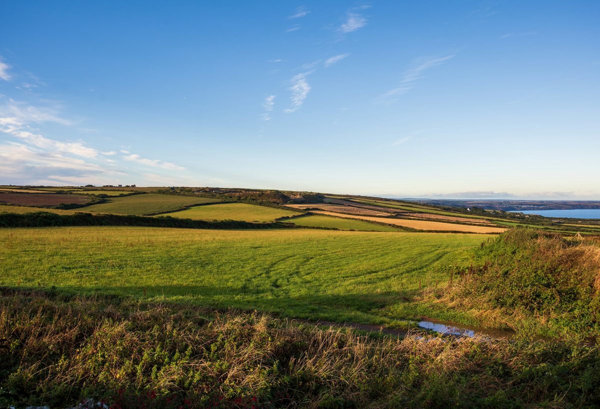 Cornish coastal farmland near Swallows Barn Storage